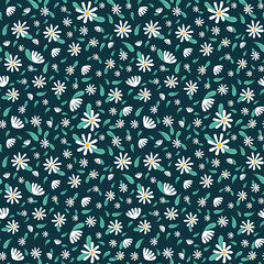 Chamomile field for your mood and your works.