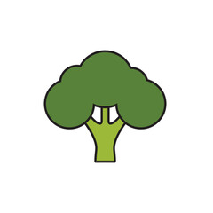 Broccoli icon. Vegetable icon. Vector.