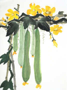 Loofah with flowers Chinese ink drawing