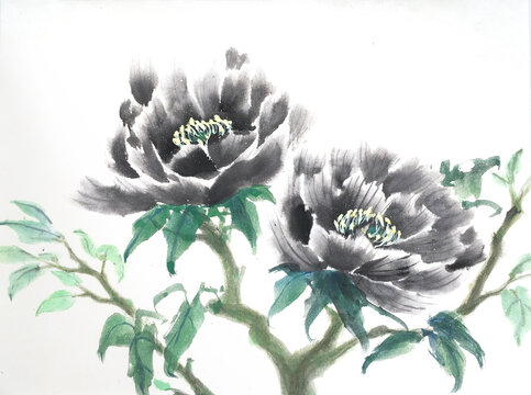 Black peony Chinese ink drawing