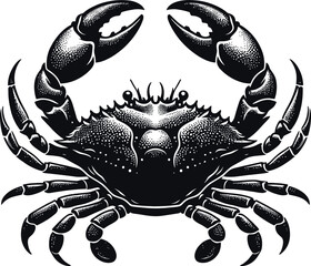 crab isolated on white background