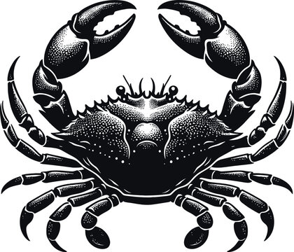 recommend clip art: crab isolated on white background