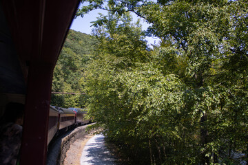 Lehigh Gorge train ride