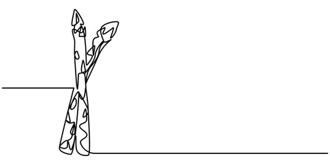 Continuous one line drawing asparagus isolated on white background.  Organic vegetables and fruits cartoon concepts. Vector illustration