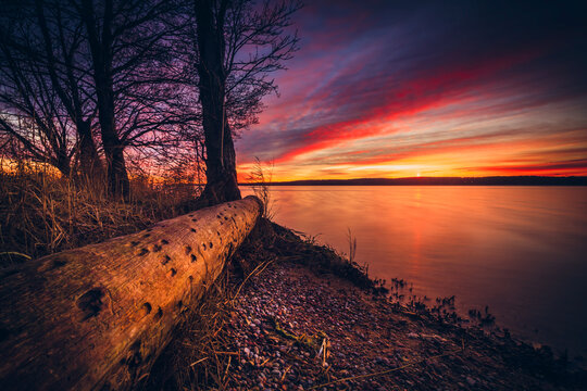 Dramatic sunset over a fallen tree trunk and forest landscape by the Curonian Gulf, Lithuania