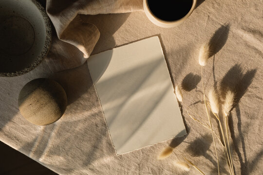 Overhead view of a blank piece of deckle edge card on a table with hare's tail grass (Lagurus) and assorted ceramics
