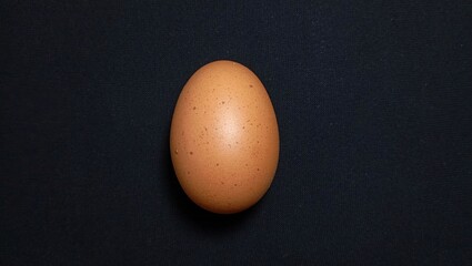 egg on black background