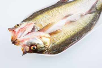 A fresh white fish