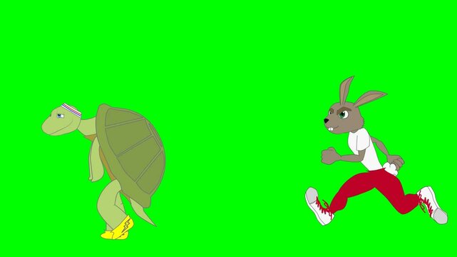 2d animated character of  story of rabbit and tortoise speed race where rabbit hits a tree and falls to ground and tortoise wins race  . in green screen background chroma key.