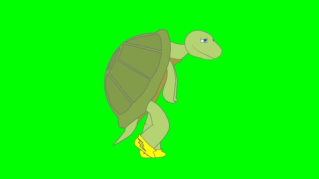 2d animated character of  story of rabbit and tortoise speed race where rabbit hits a tree and falls to ground and tortoise wins race  . in green screen background chroma key.