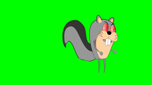 2d animated character of  gray squirrel goes to brown squirrel and wakes him up by shouting, they fight and then they both leave place sadly  . in green screen background chroma key.