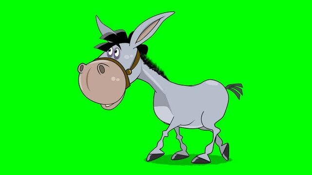 2d animated character of  clown or slave of king and donkey walking and moving towards palace to perform show, man in green cloak with hat  . in green screen background chroma key.