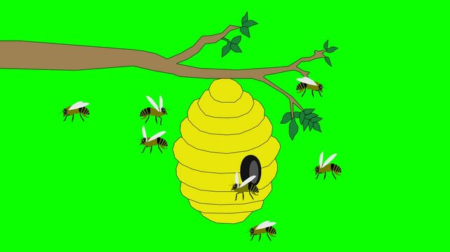 2d animated character of  attack of group of wild bees on beehive hanging from tree branch, falling leaves, wind and storm, queen of bees. in green screen background chroma key.