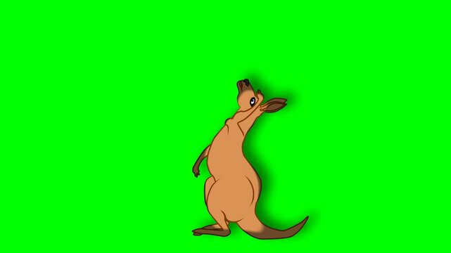 2d animated character of Brown kangaroo character playing kicking shooting red ball up and towards herself, Playful, hyperactive, lively . in green screen background chroma key.