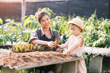 Smart farm resourceful happy family mother and child home planting sapling plants gardening agriculture growing their own food harvesting vegetables water soil moisture and air purity content.