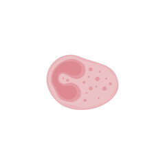 Eosinophil Vektor Illustration 