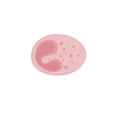Eosinophil Vektor Illustration 
