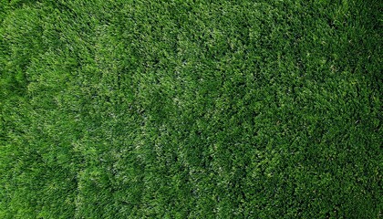Fototapeta premium Green grass texture. Golf course view from above. The background is a lush football lawn. Artificial synthetic lawn for sports. green grass texture