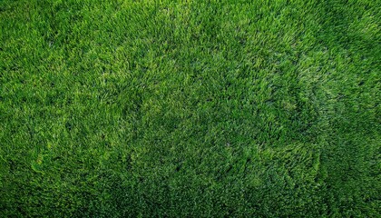 Fototapeta premium Green grass texture. Golf course view from above. The background is a lush football lawn. Artificial synthetic lawn for sports. green grass texture