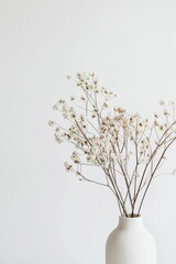 Delicate white flowers gracefully arranged in a white vase, set against a clean white background capturing serene beauty.