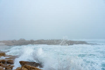 Sea fog (mist) along the West Coast shoreline near Lamberts Bay, Western Cape, South Africa. Cape...