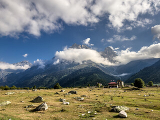 Fototapety na wymiar - Fototapeta24.pl