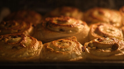 Rolls buns with raisins and cottage cheese baking in the oven. Close-up food photography with warm...