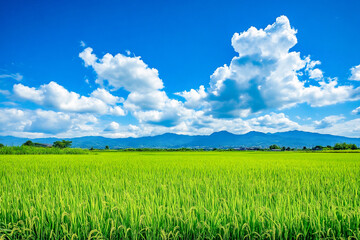 Japanese countryside