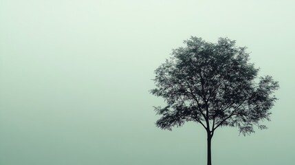 A lone tree stands silhouetted against a misty green sky.