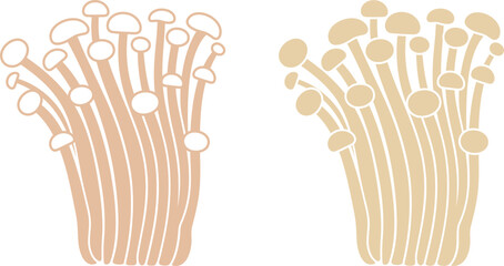 Japanese Enoki. Isolated Japanese Enoki on white background