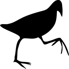 Bird silhouette with white background