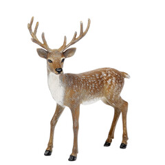 Isolated Stag Model on Transparent Background
