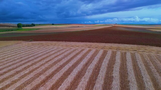 Aerial view from a drone of harvested grain fields in the surroundings of the town of Carrascal in the province of Zamora. Castilla y Leon. Spain. Europe
