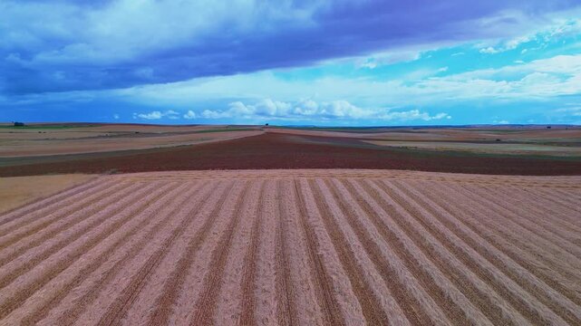 Aerial view from a drone of harvested grain fields in the surroundings of the town of Carrascal in the province of Zamora. Castilla y Leon. Spain. Europe