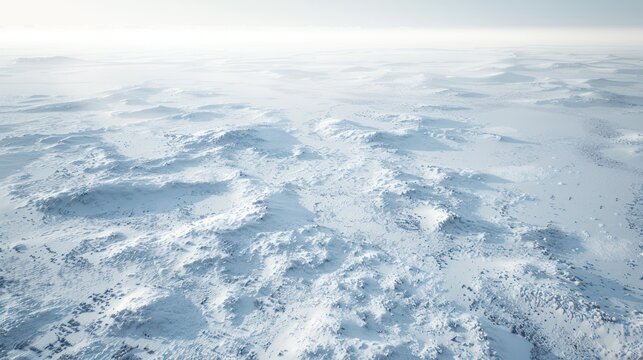 Snowy Landscape: A Frozen Wilderness