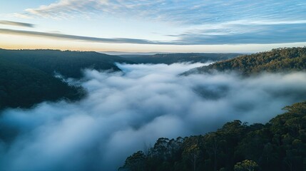 Fototapeta premium An aerial view of a sea of fog covering a forested valley, with a large area of the sky and fog for adding text.