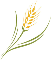 Rice Wheat cereal  graphic element flat color illustration design