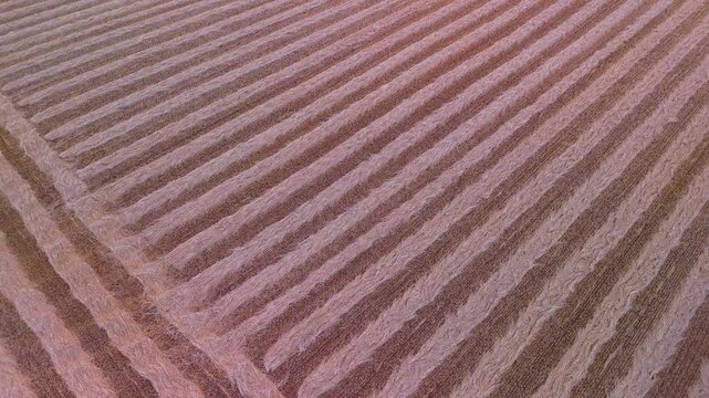 Aerial view from a drone of harvested grain fields in the surroundings of the town of Carrascal in the province of Zamora. Castilla y Leon. Spain. Europe
