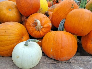A collection of vibrant orange and white pumpkins piled together on a wooden rustic surface