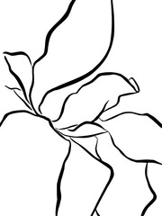 Abstractions and lines