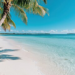 A beautiful beach with a palm tree in the foreground. The water is calm and the sky is clear