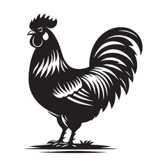 Chicken Silhouette, Stylish icon, template, background, tattoo. Print for t-shirt. Hand drawn vector illustration, Chicken black vector, isolated.