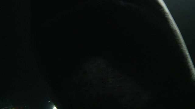 Low-angle close-up of a Greenland shark (Somniosus microcephalus) swimming in the dark, its massive body moving slowly through the deep waters. Check my portfolio for more greenland shark footage.