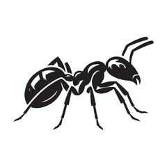 Ant Silhouette, Stylish icon, template, background, tattoo. Print for t-shirt. Hand drawn vector illustration, Ant black vector, isolated.