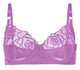 bra isolated on transparent or white background, png