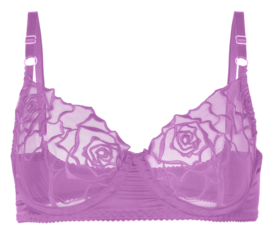 bra isolated on transparent or white background, png