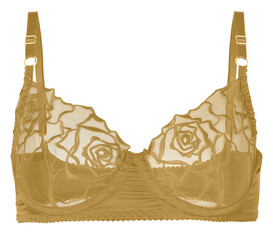 bra isolated on transparent or white background, png