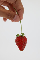 strawberry in hand