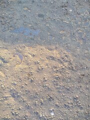 Asphalt 