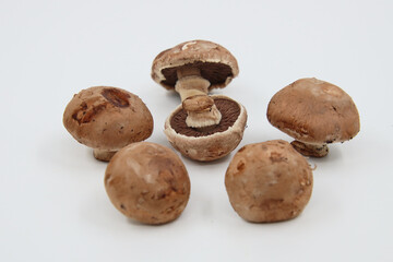 Fototapeta premium mushrooms on a white background